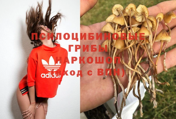 мяу мяу мука Зерноград