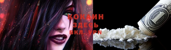 крисы Зеленодольск